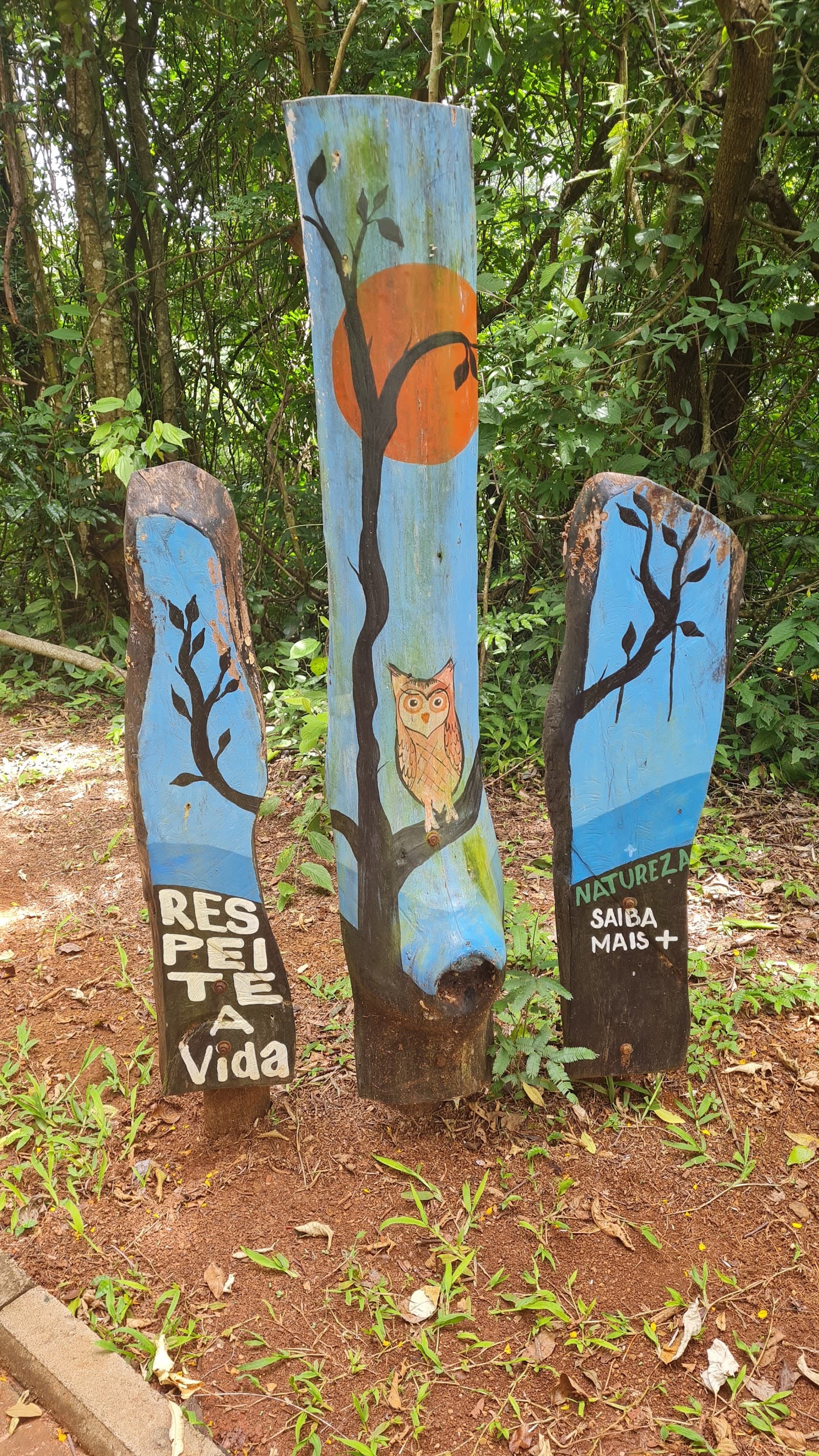 Parque Natural Municipal Cachoeira da Marta - foto 10