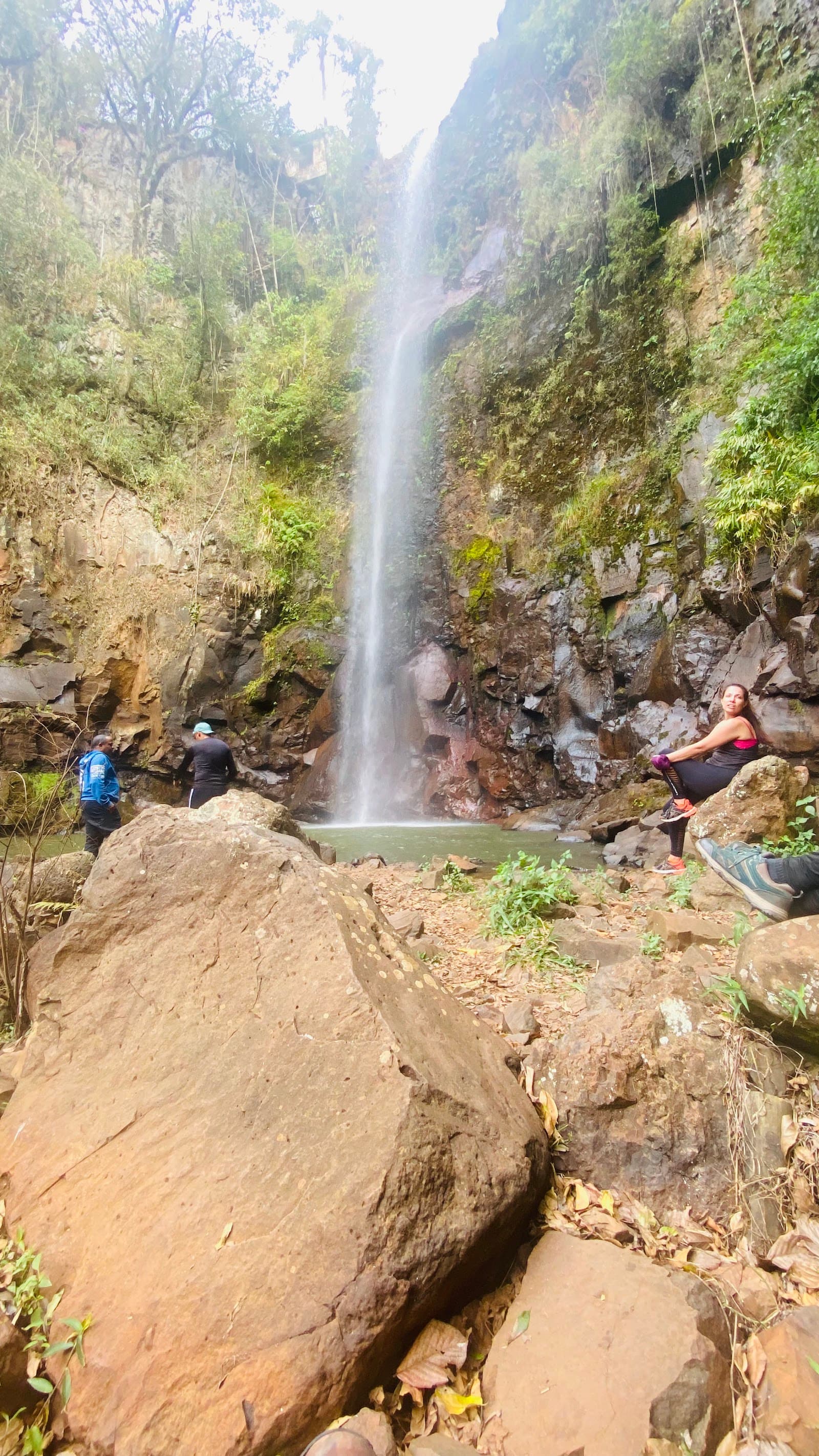 Parque Natural Municipal Cachoeira da Marta - foto 6