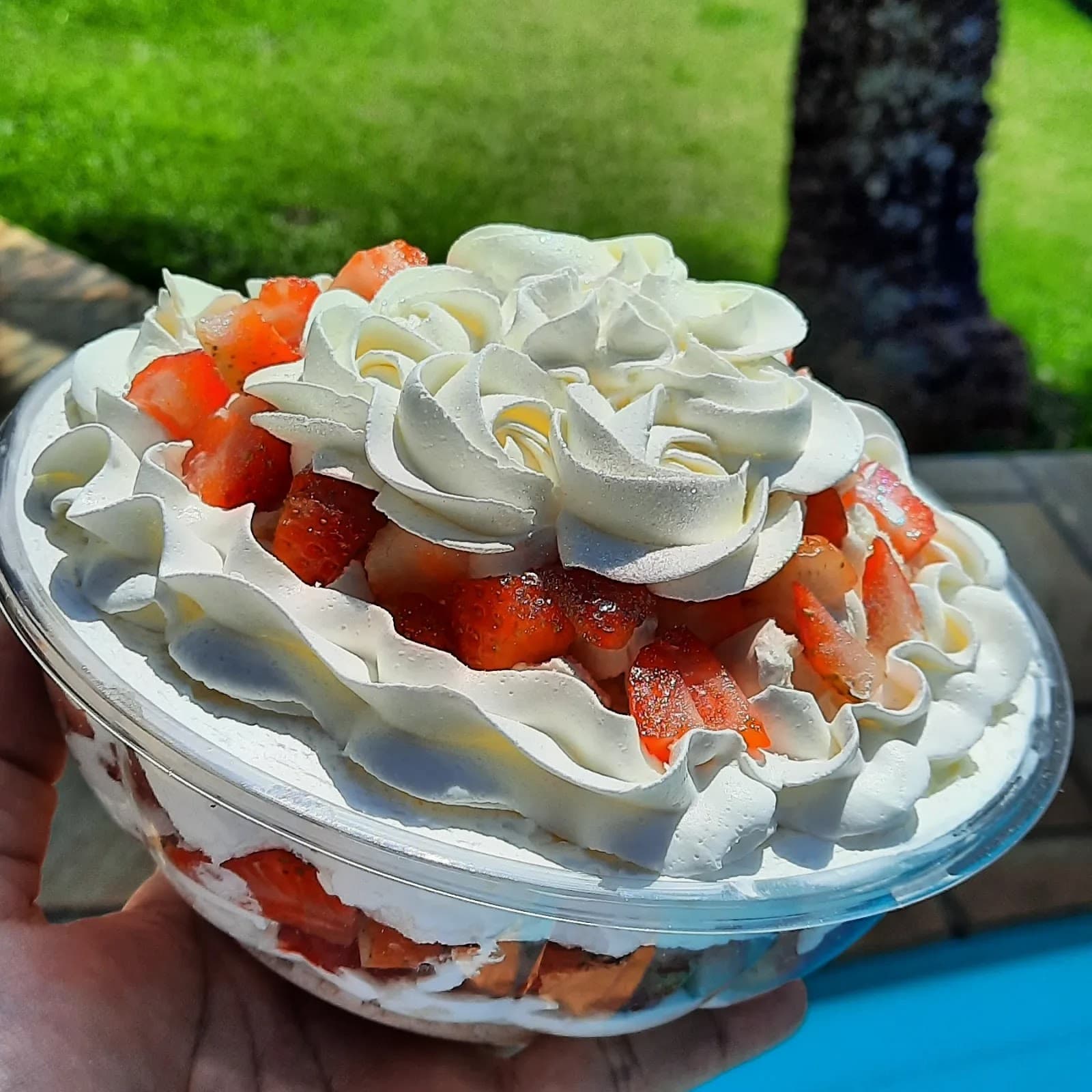 Delicias da fê - foto 3