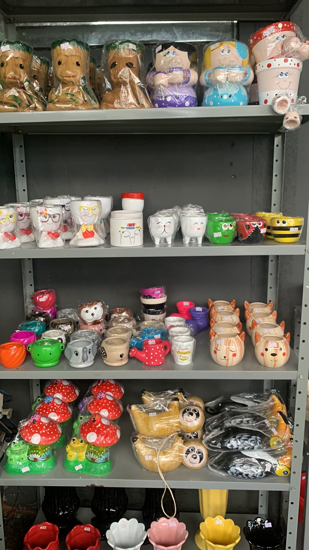 Flora Rodrigues Cerquilho