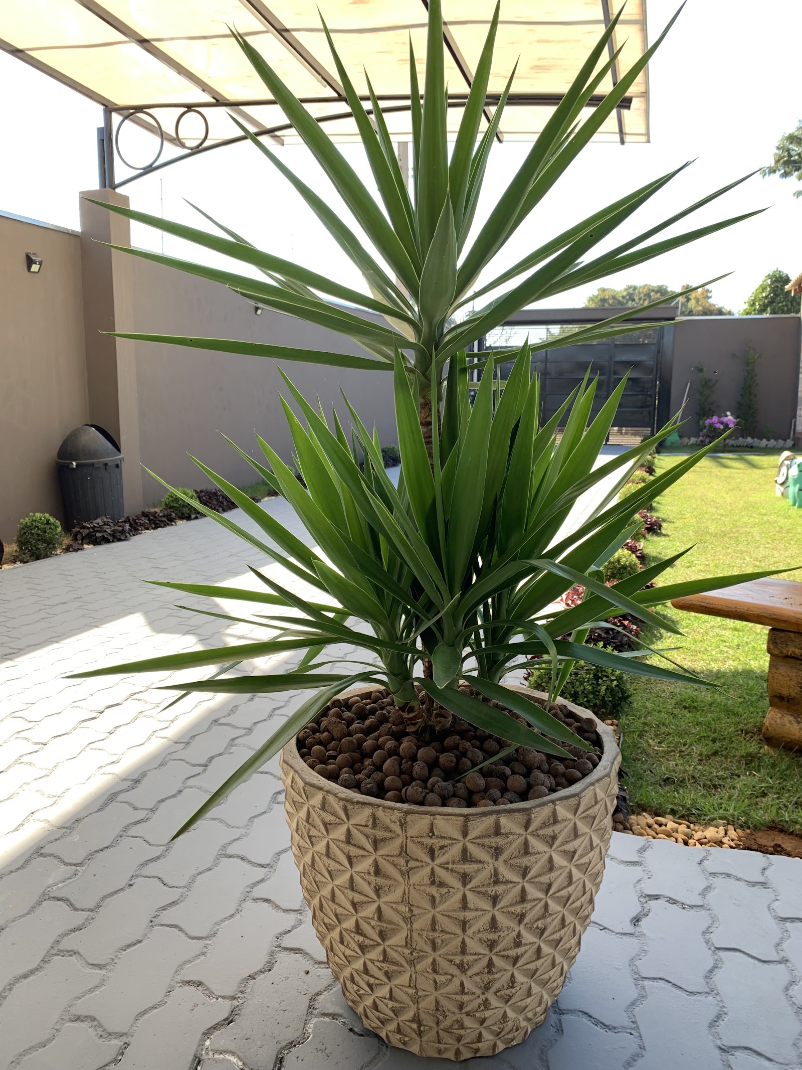 Flora Rodrigues Cerquilho - foto 6