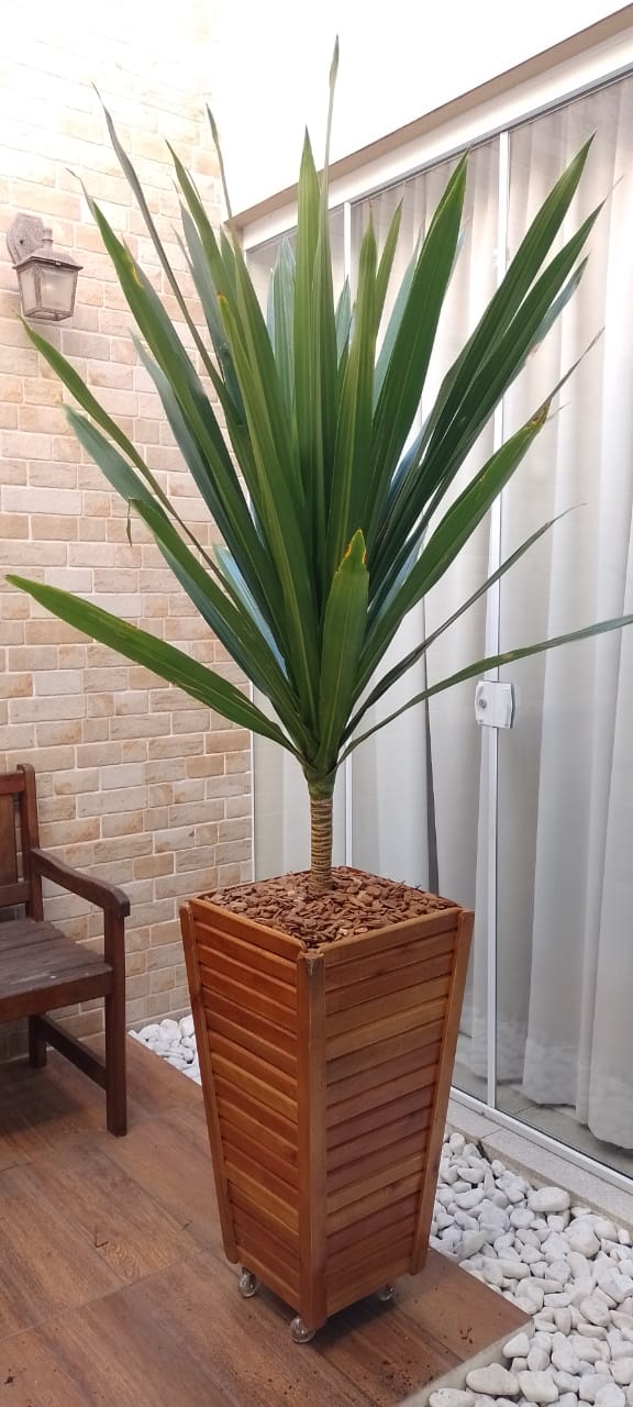 Flora Rodrigues Cerquilho - foto 9