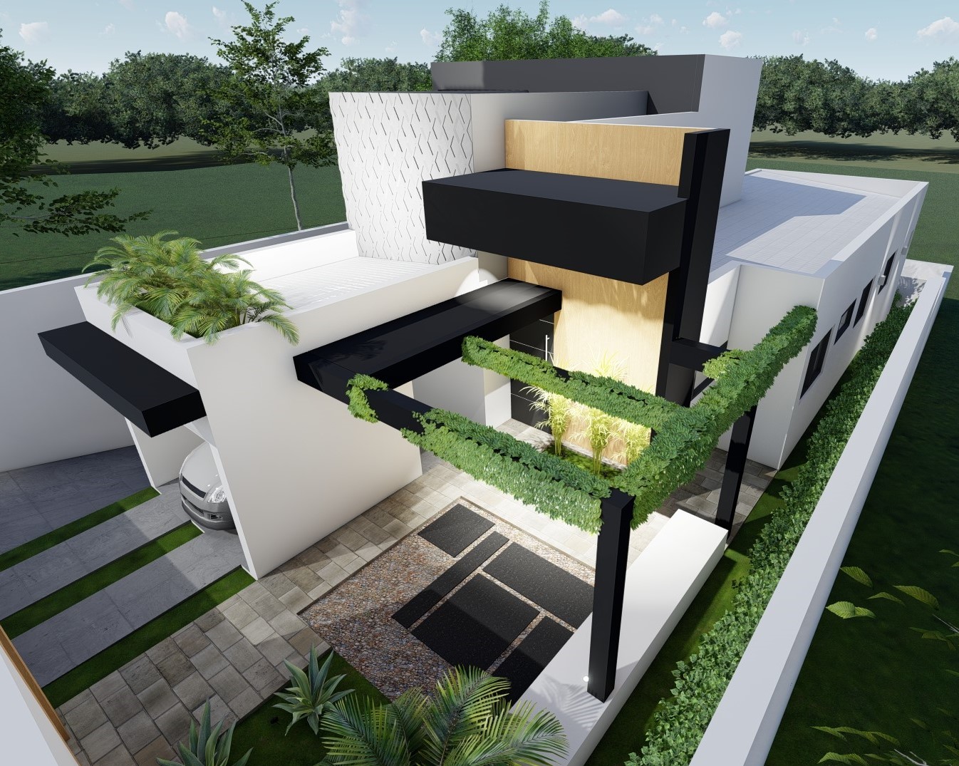 Veridiana Pettinelli  - foto 5