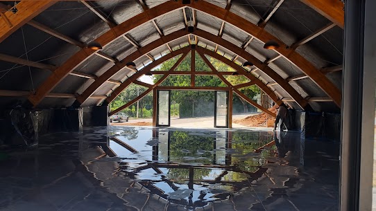 Veridiana Pettinelli  - foto 6