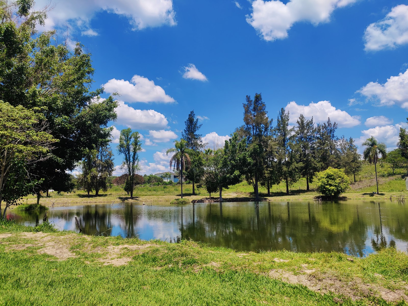 3 Irmãos Pesca e Lazer - foto 3