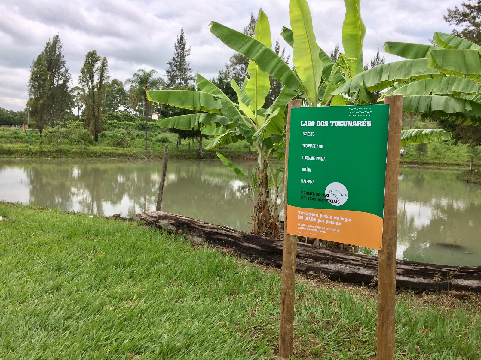 3 Irmãos Pesca e Lazer - foto 8