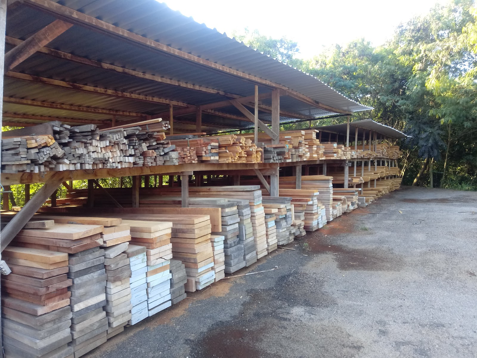 CONSORTI MADEIRAS - foto 4