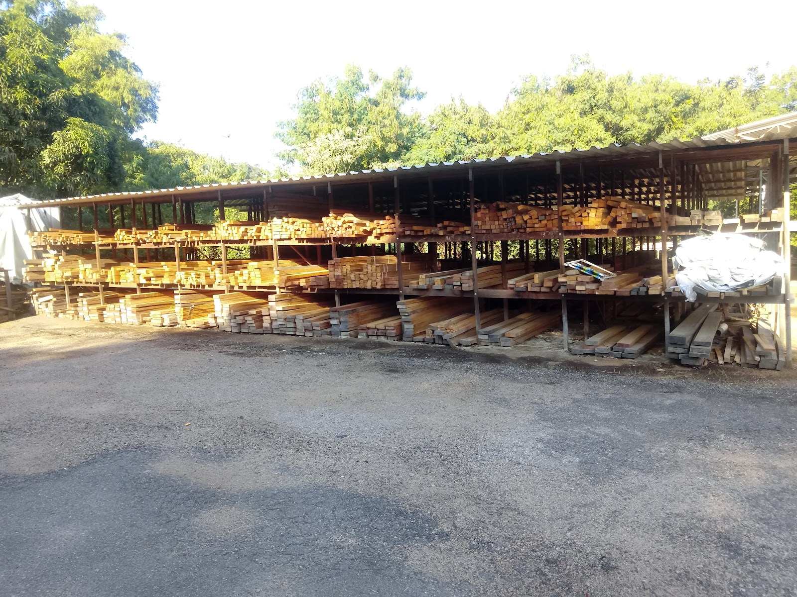 CONSORTI MADEIRAS - foto 5