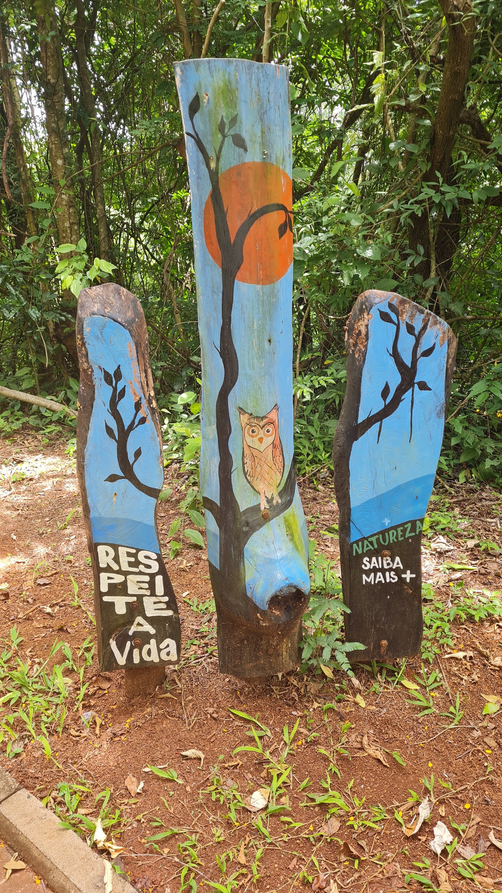 Parque Natural Municipal Cachoeira da Marta - foto 10