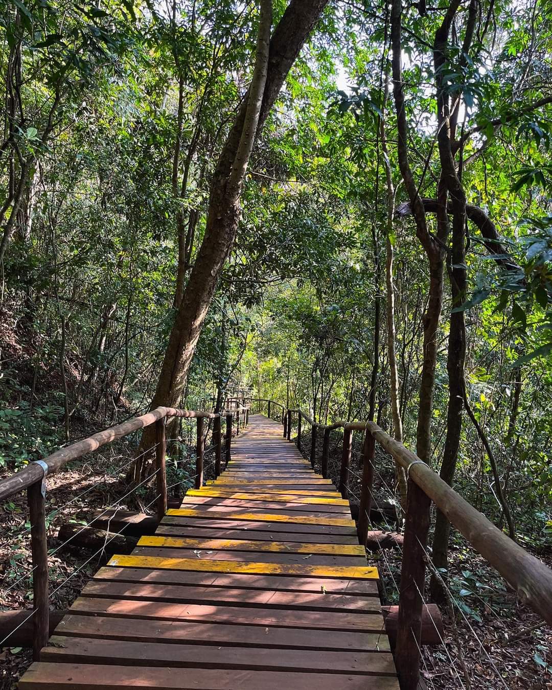 Parque Natural Municipal Cachoeira da Marta - foto 3