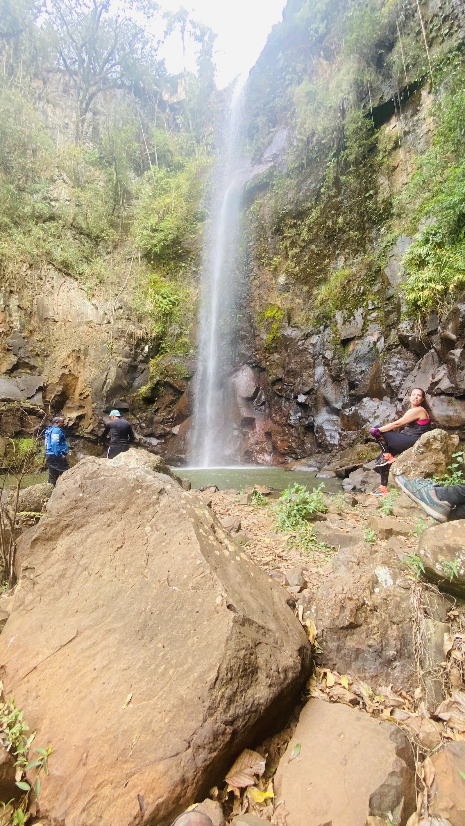 Parque Natural Municipal Cachoeira da Marta - foto 6