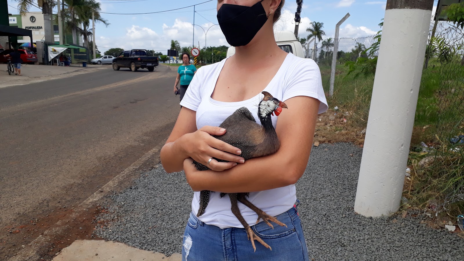 GALEGO FLORA - foto 2