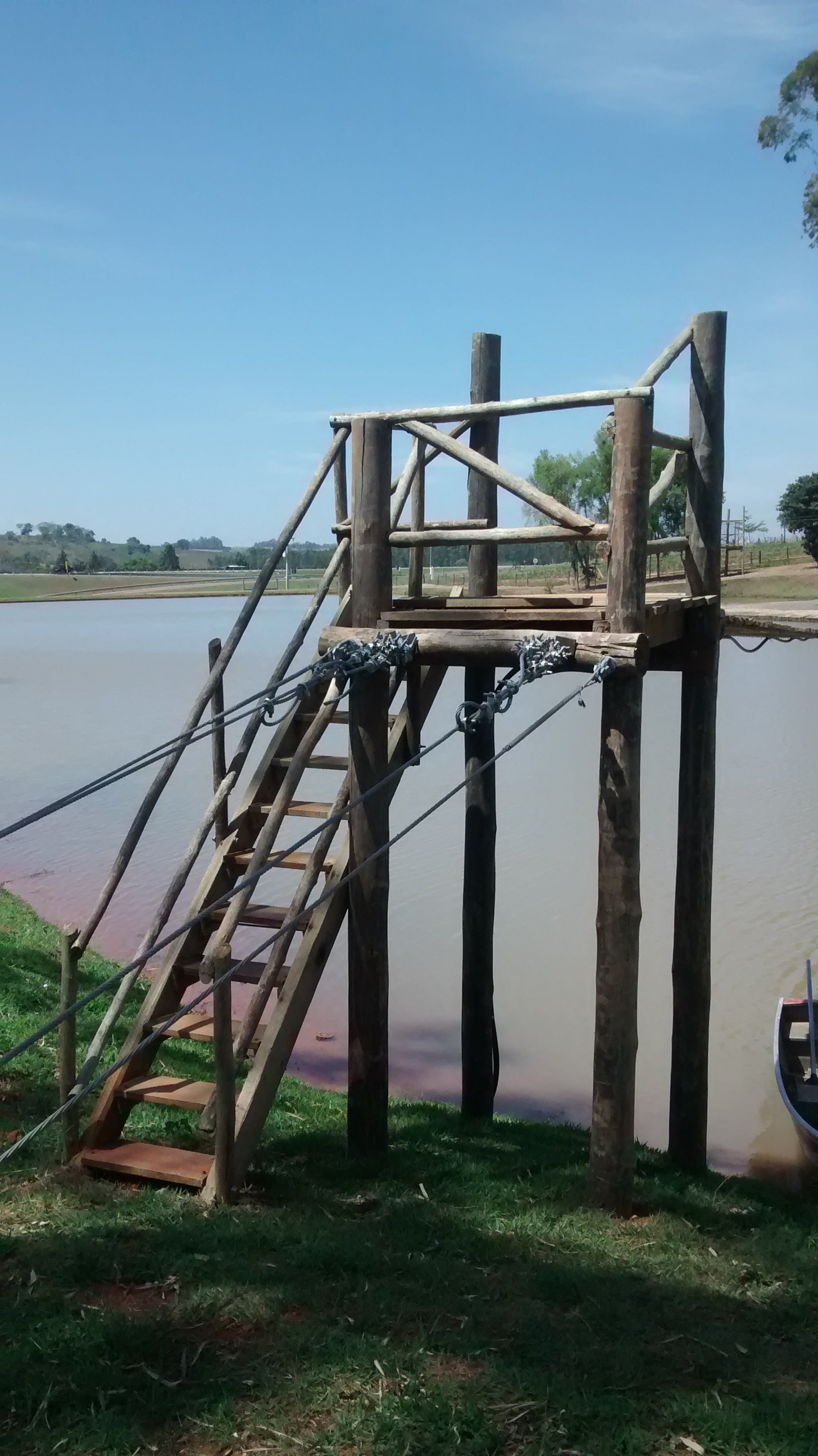 BLA MADEIRAS & EUCALIPTO TRATADO - foto 8