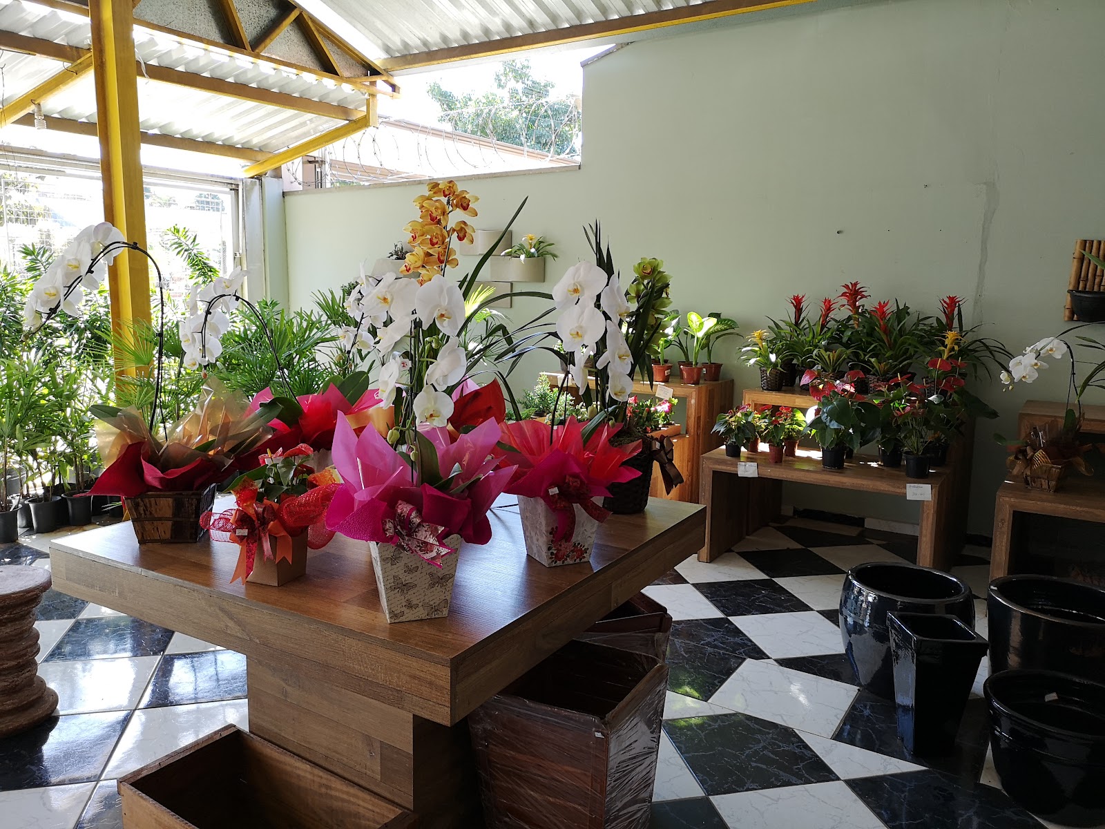 Floricultura Flora Silvestre - foto 3