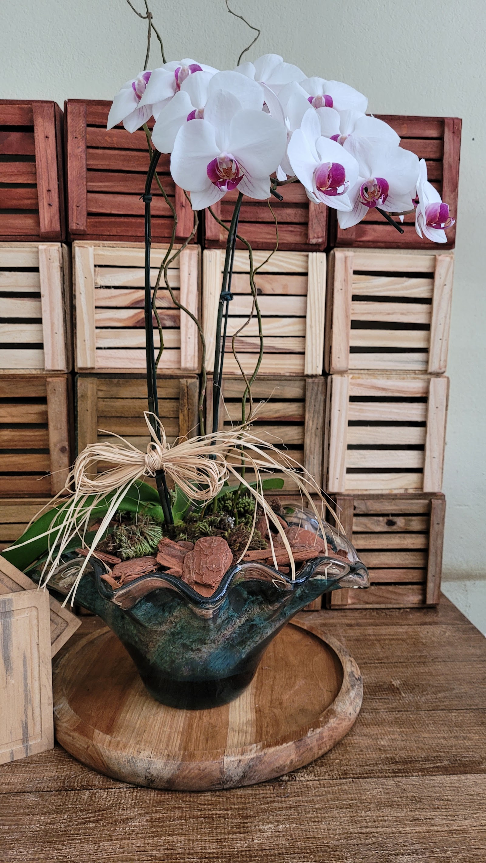 Floricultura Flora Silvestre - foto 4