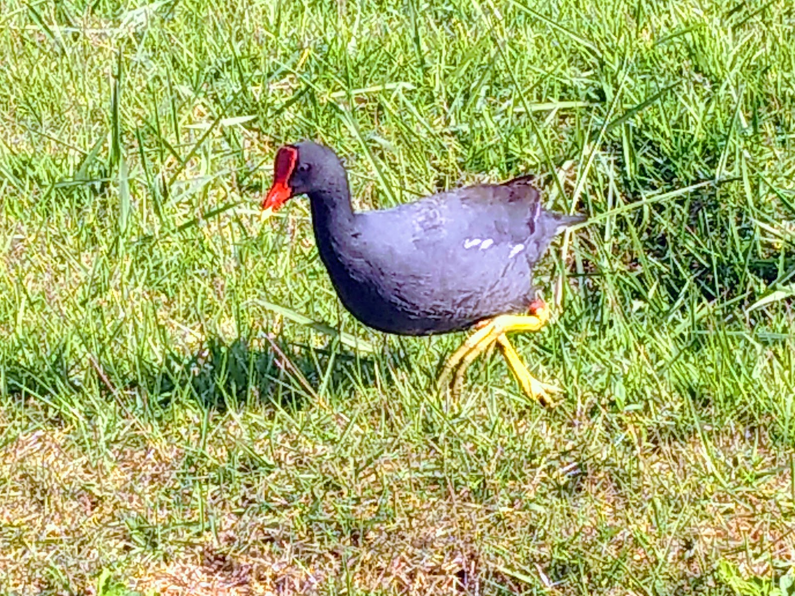 Parque das Águas "Maria Barbosa Silva" - foto 4