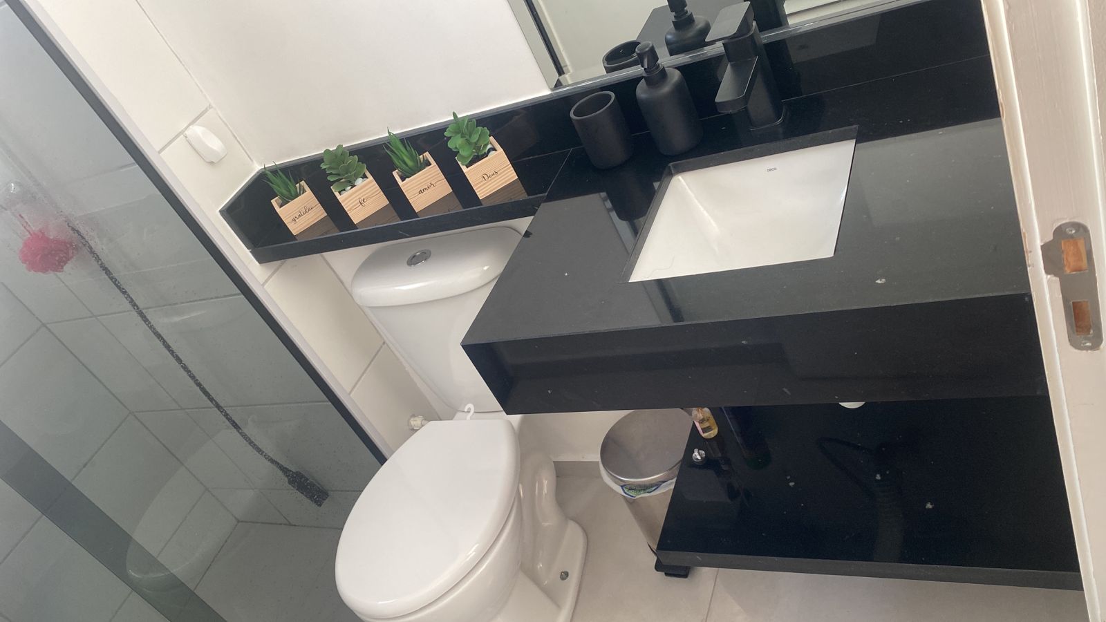 Adnei das Pedras - foto 10