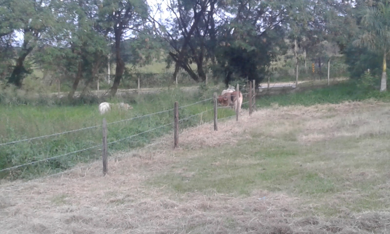 Alumi Esquadrias de Aluminio - foto 2